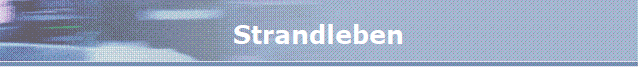 Strandleben