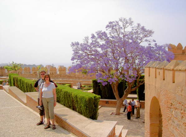 Alcazaba- Gartenanlage mit Jacaranda