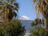 Puerto -Der Teide, allgegenwrtig-
