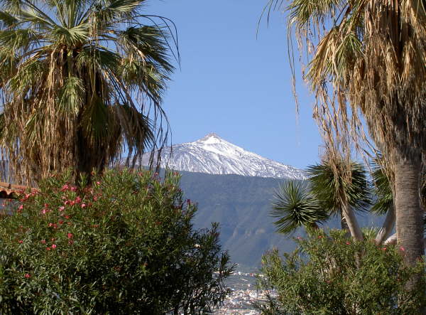 Puerto -Der Teide, allgegenwrtig-