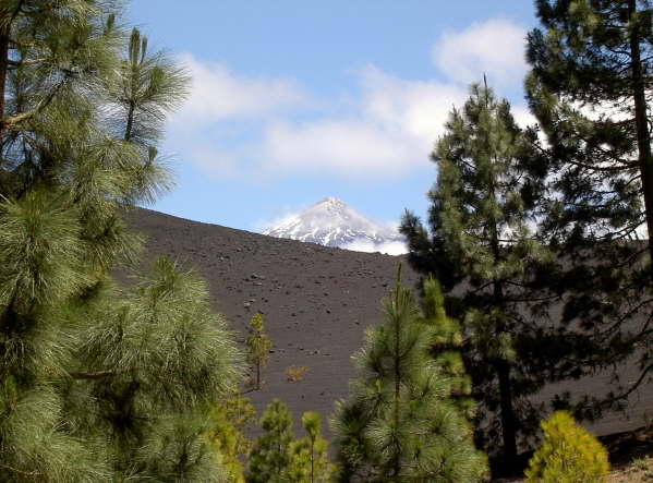 Der Teide von seiner Schokoladenseite