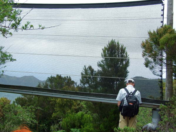 "Wasserfangnetz" zum Melken der Wolken. Der "Kiefern-Effekt" wird hier nachgemacht